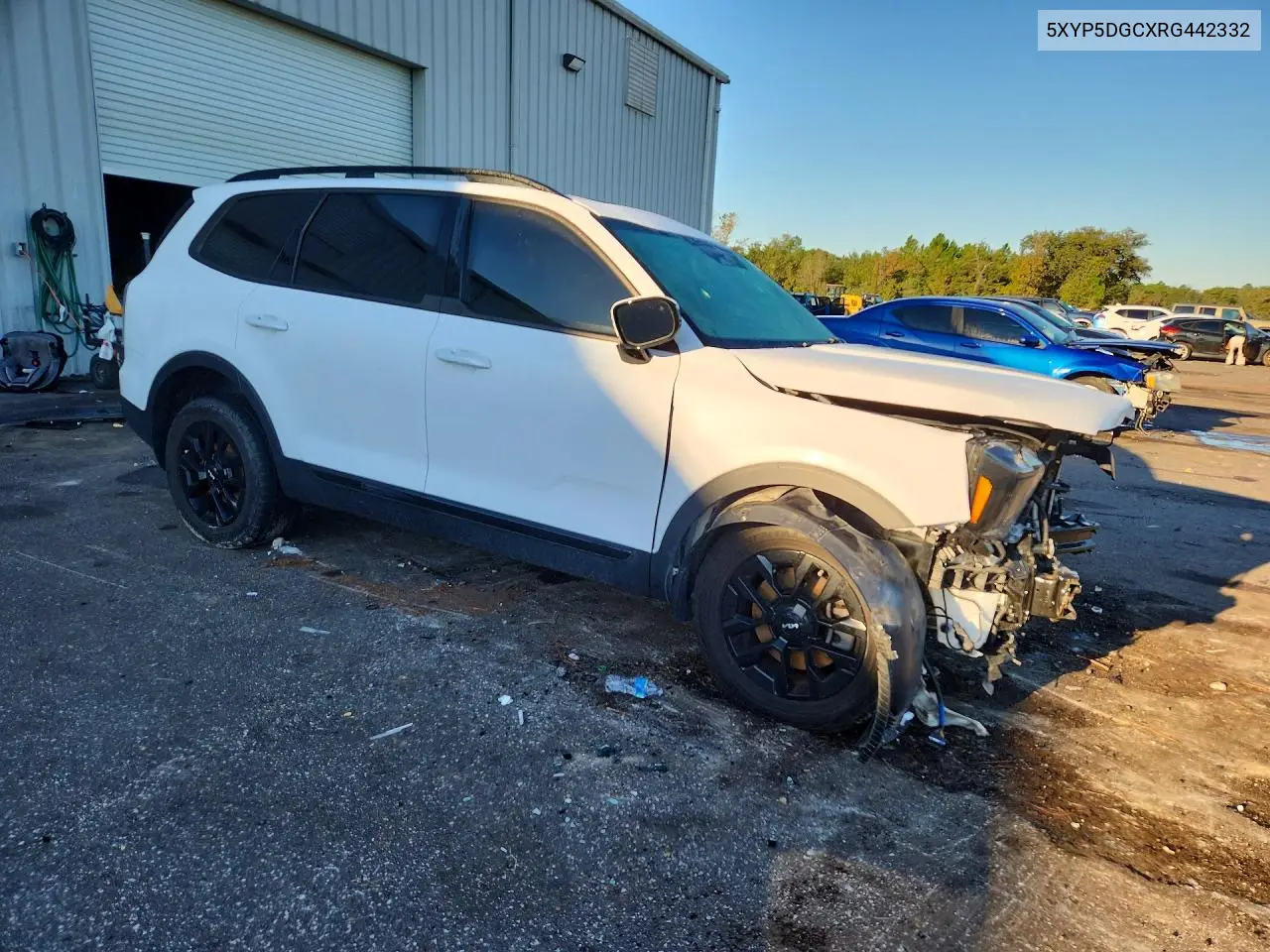 2024 KIA TELLURIDE VIN 5XYP5DGCXRG442332 — фото 4
