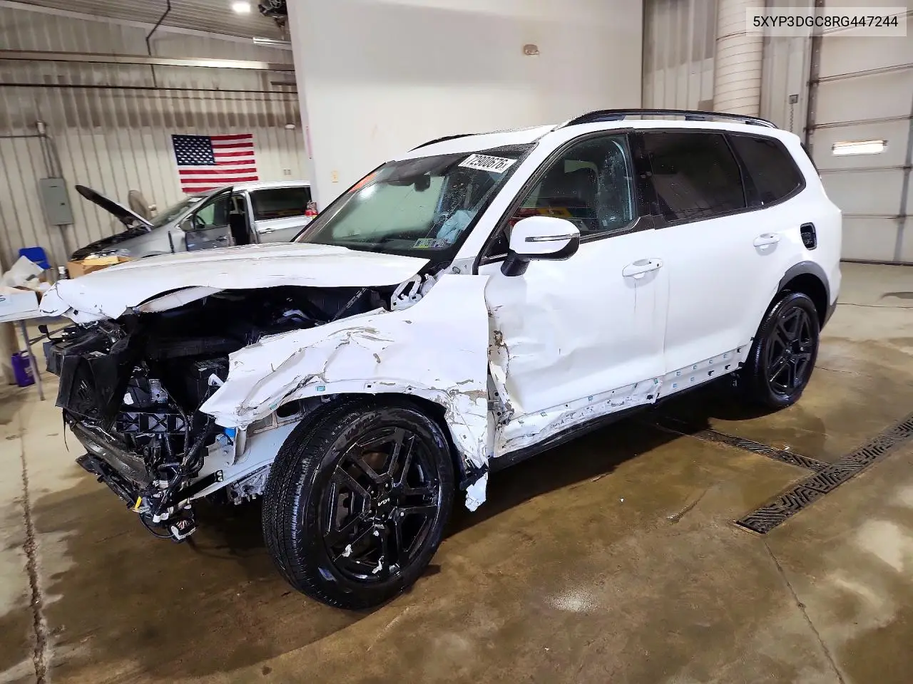 KIA TELLURIDE 2024, VIN 5XYP3DGC8RG447244