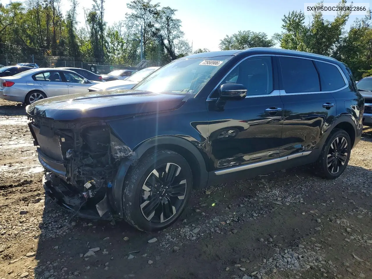 2024 KIA TELLURIDE VIN 5XYP5DGC2RG422866 — фото 2