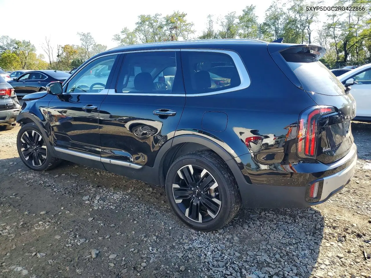 KIA TELLURIDE 2024, VIN 5XYP5DGC2RG422866