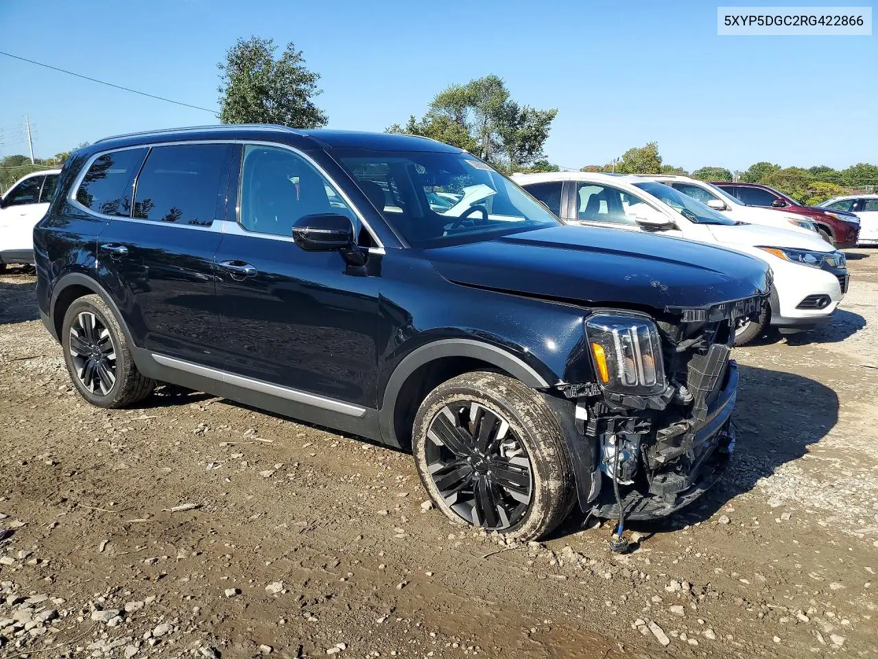 2024 KIA TELLURIDE VIN 5XYP5DGC2RG422866 — фото 4