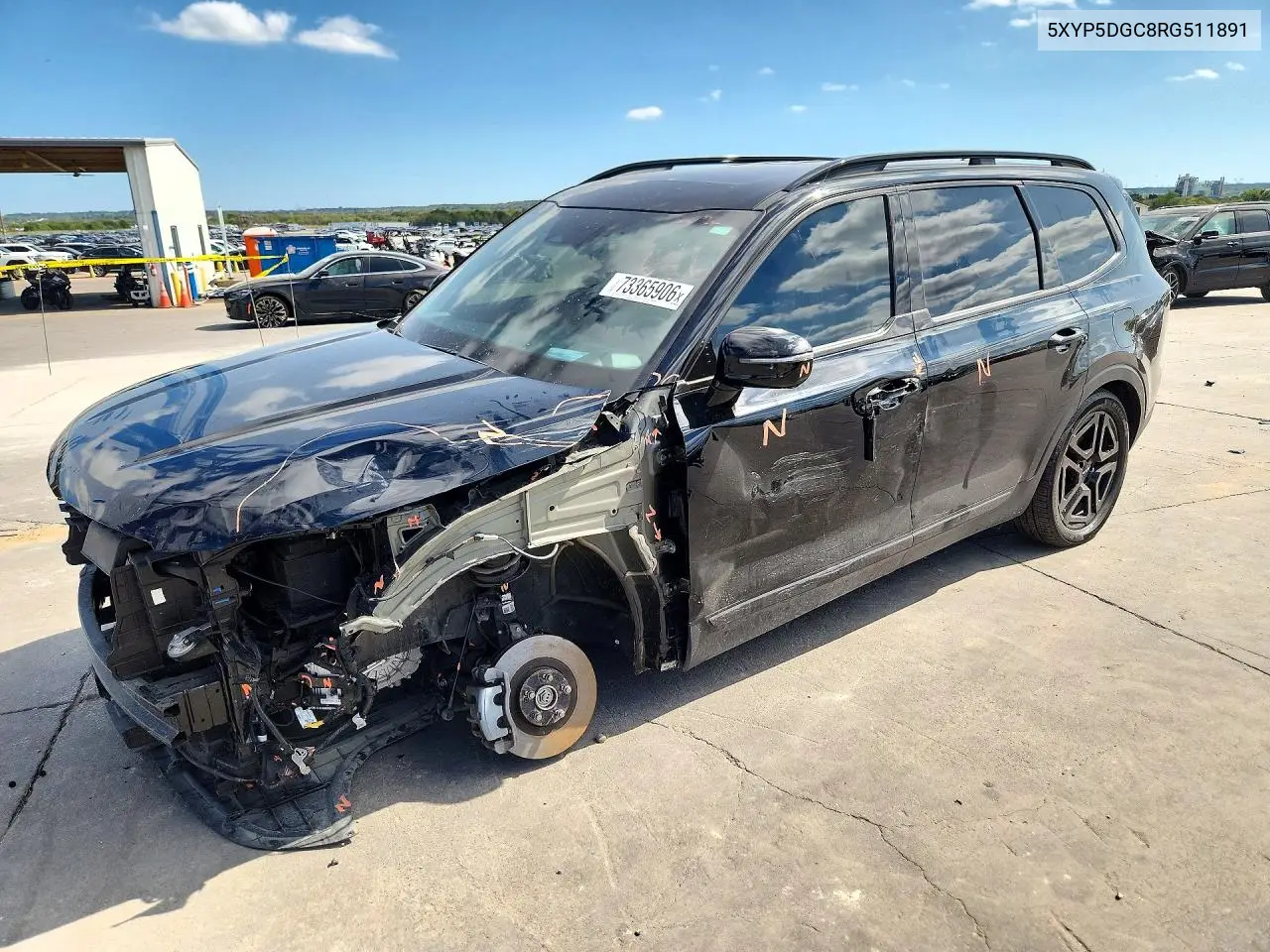 KIA TELLURIDE 2024, VIN 5XYP5DGC8RG511891