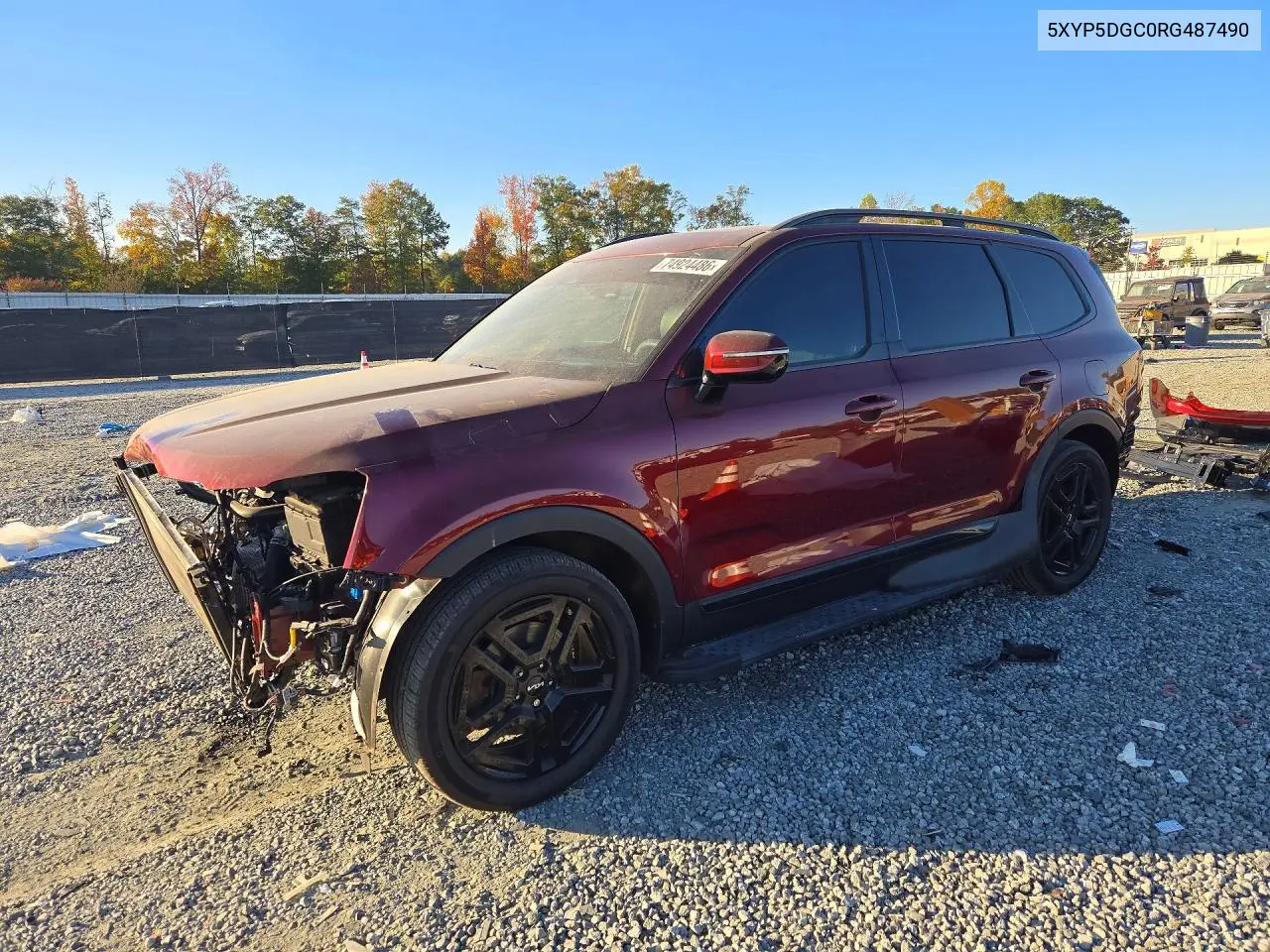 KIA TELLURIDE 2024, VIN 5XYP5DGC0RG487490