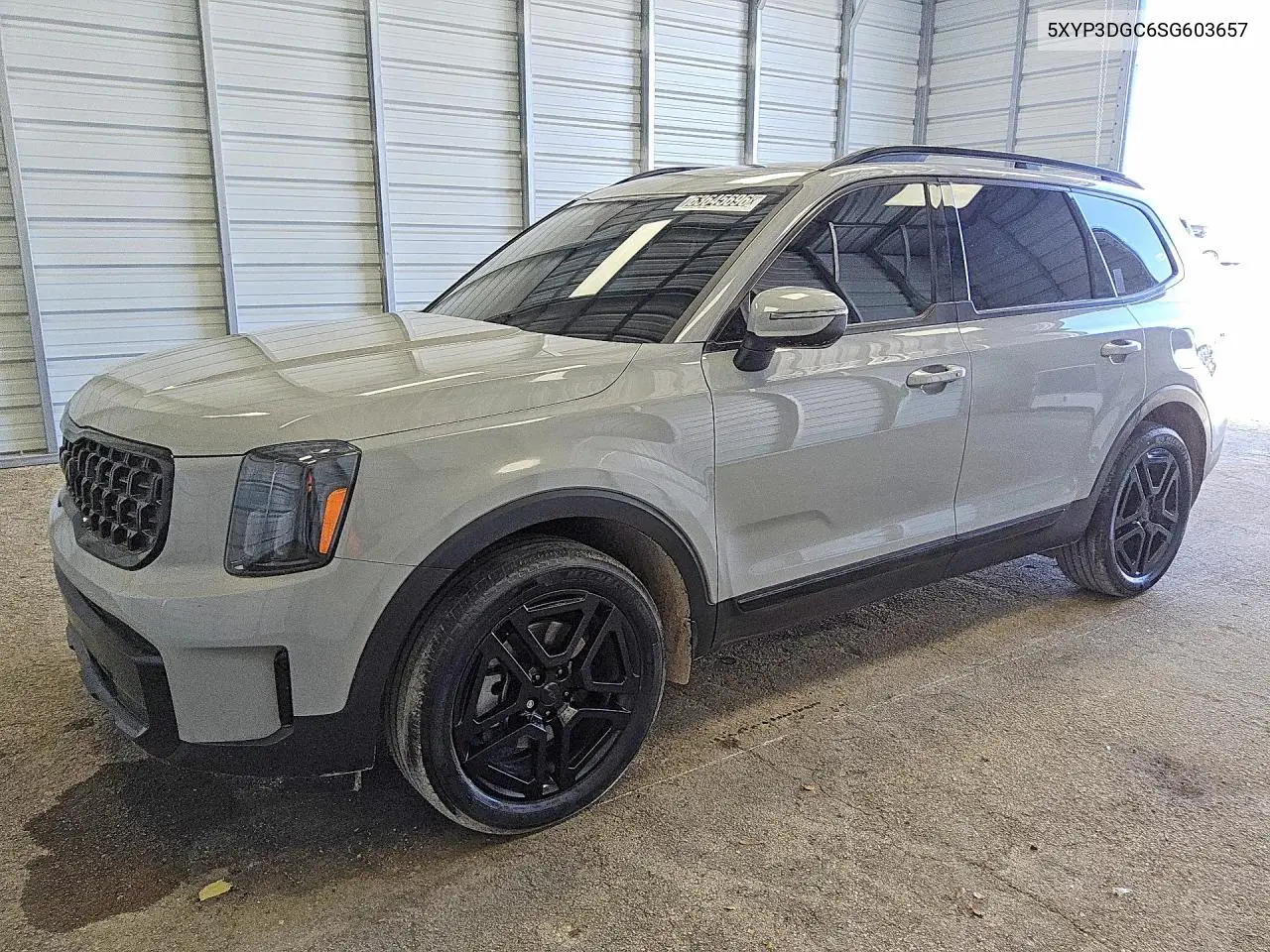 KIA TELLURIDE 2025, VIN 5XYP3DGC6SG603657