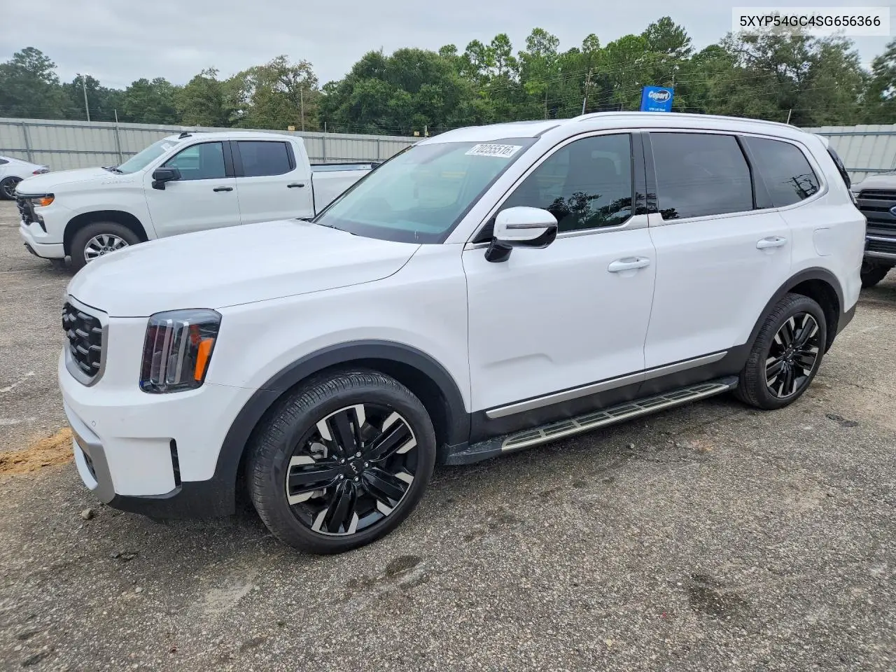 KIA TELLURIDE 2025, VIN 5XYP54GC4SG656366