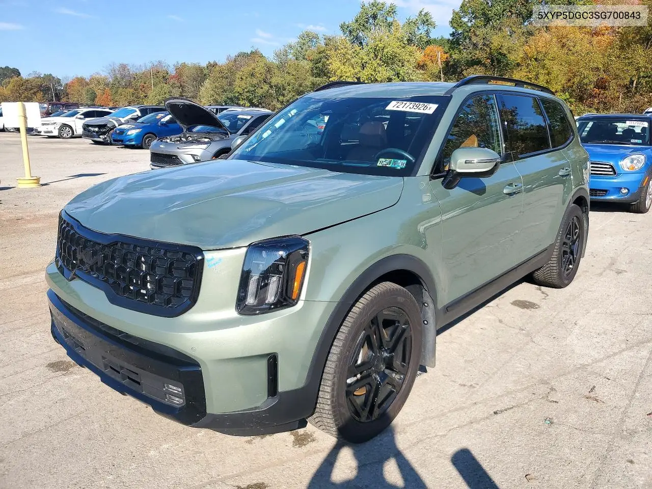 KIA TELLURIDE 2025, VIN 5XYP5DGC3SG700843
