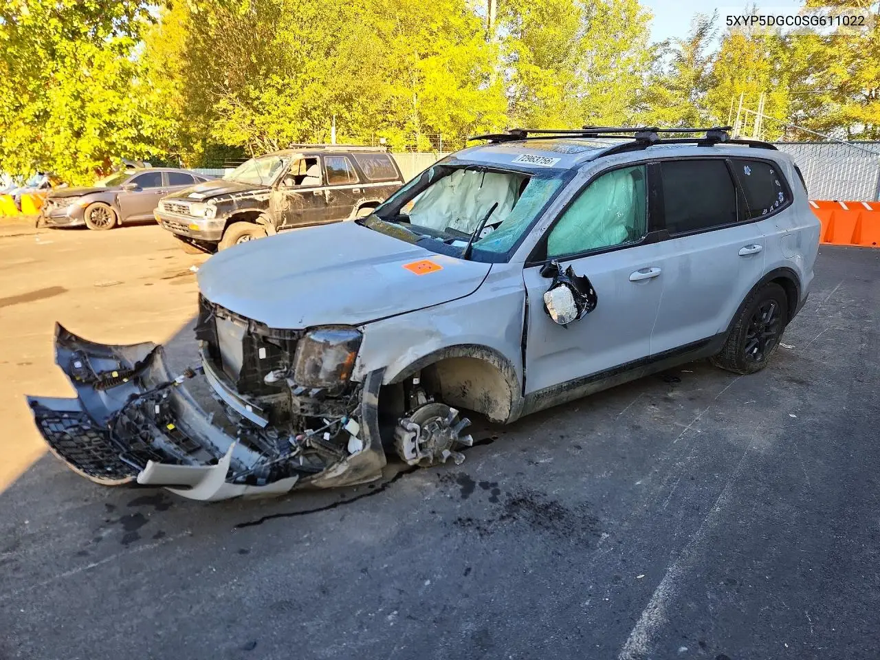 KIA TELLURIDE 2025, VIN 5XYP5DGC0SG611022