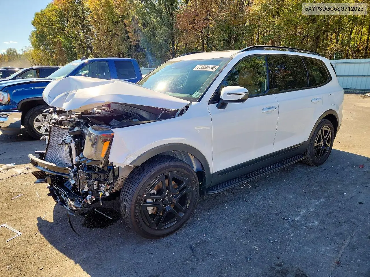 KIA TELLURIDE 2025, VIN 5XYP3DGC6SG712023