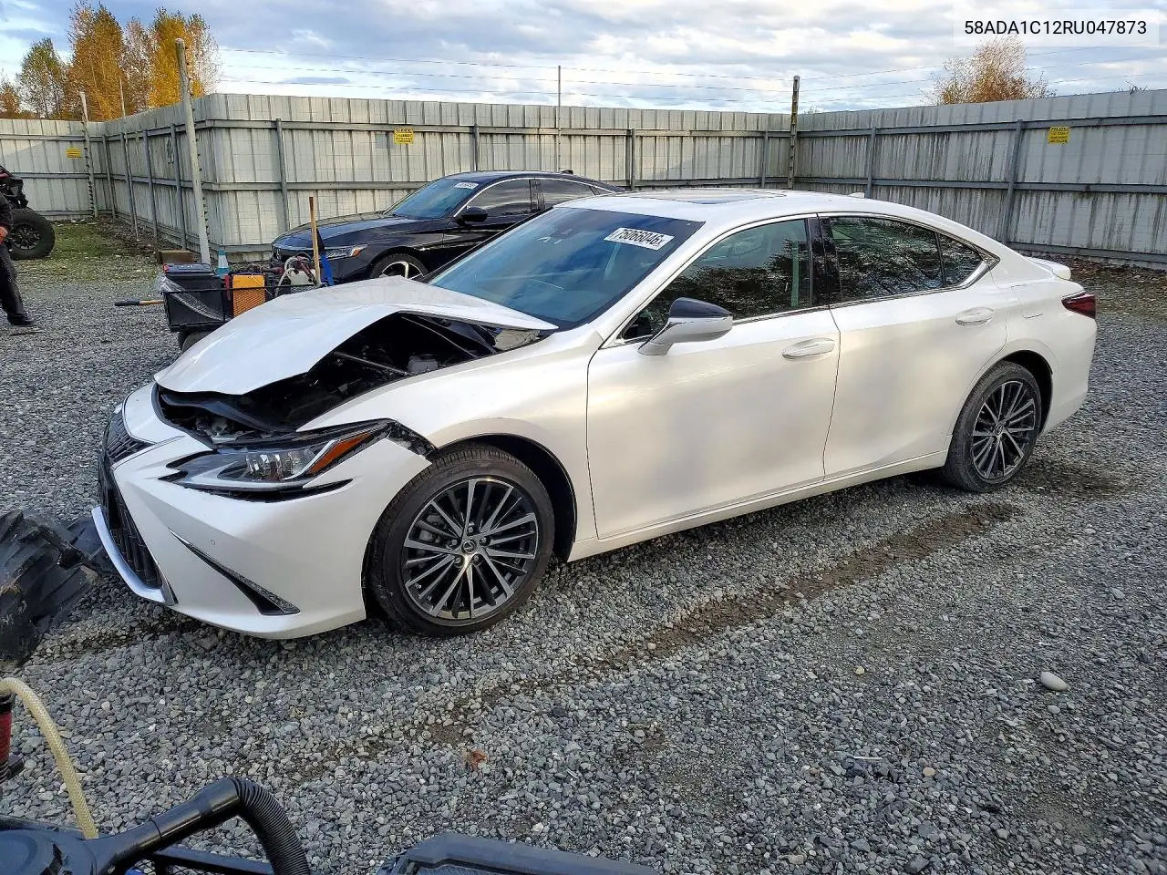 LEXUS ES 2024, VIN 58ADA1C12RU047873