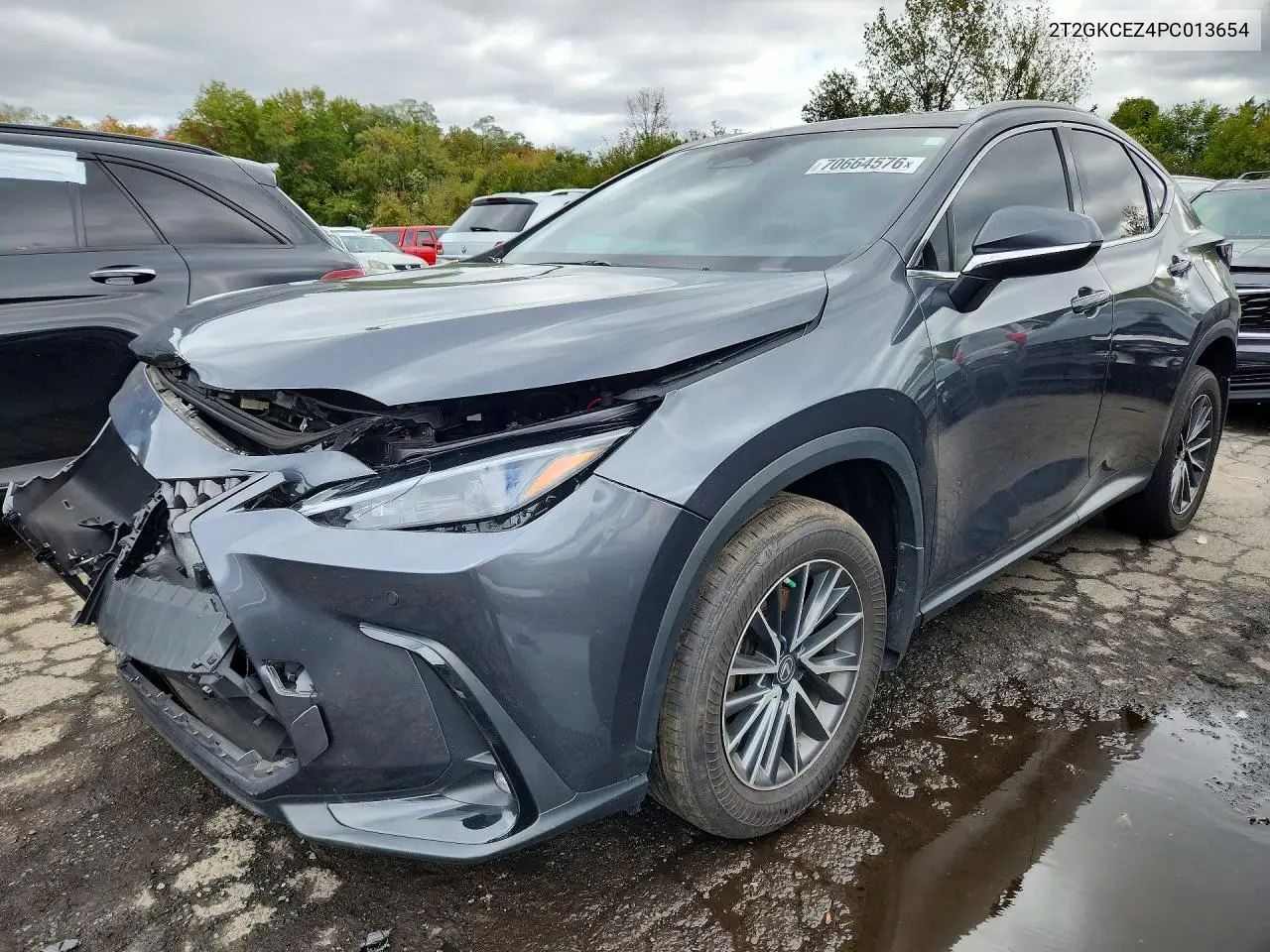 LEXUS NX 2023, VIN 2T2GKCEZ4PC013654