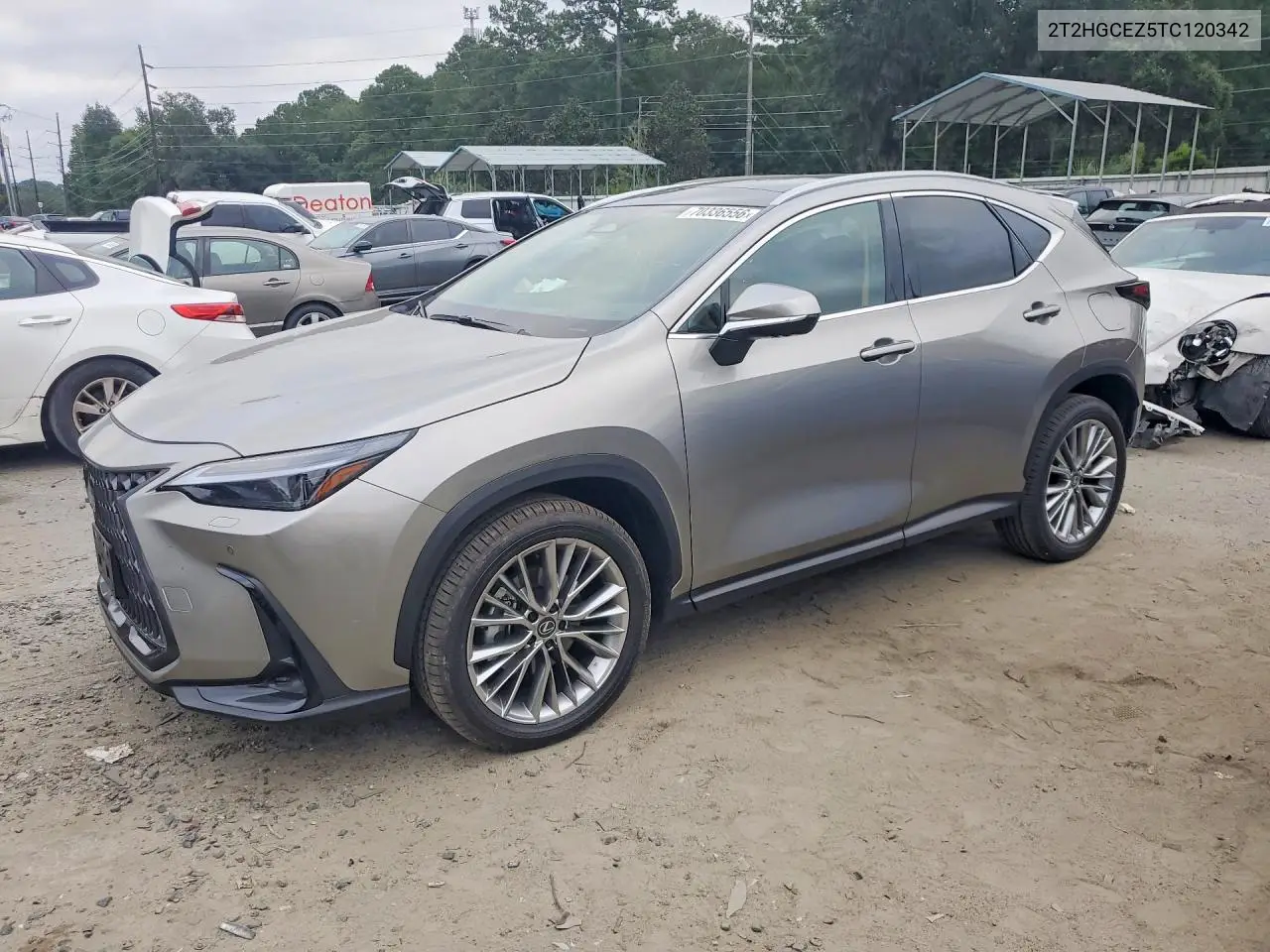 LEXUS NX 2026, VIN 2T2HGCEZ5TC120342