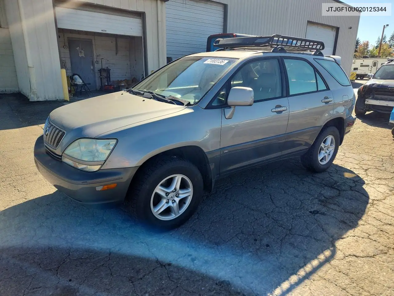LEXUS RX 2002, VIN JTJGF10U020125344