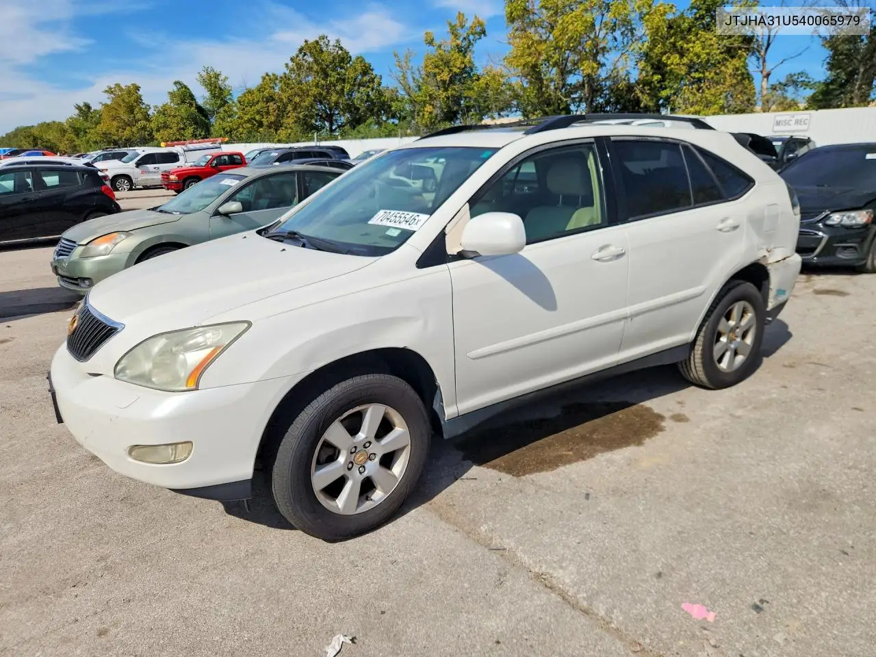 LEXUS RX 2004, VIN JTJHA31U540065979