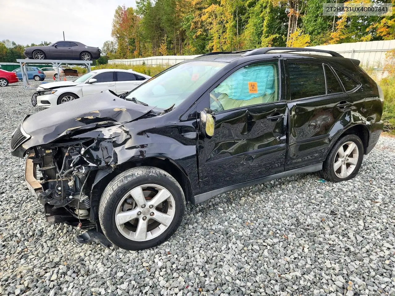 LEXUS RX 2004, VIN 2T2HA31UX4C007841
