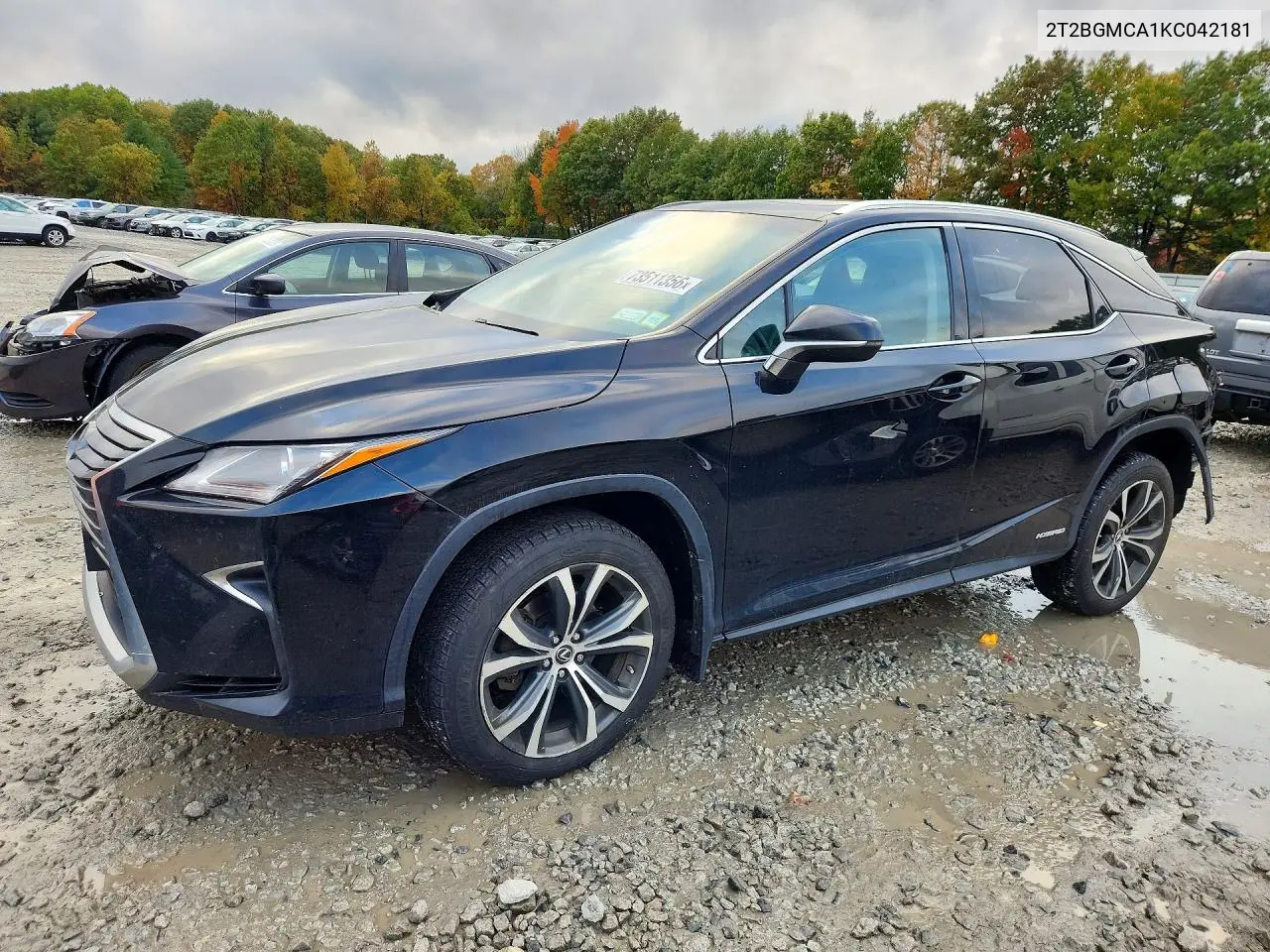 LEXUS RX 2019, VIN 2T2BGMCA1KC042181