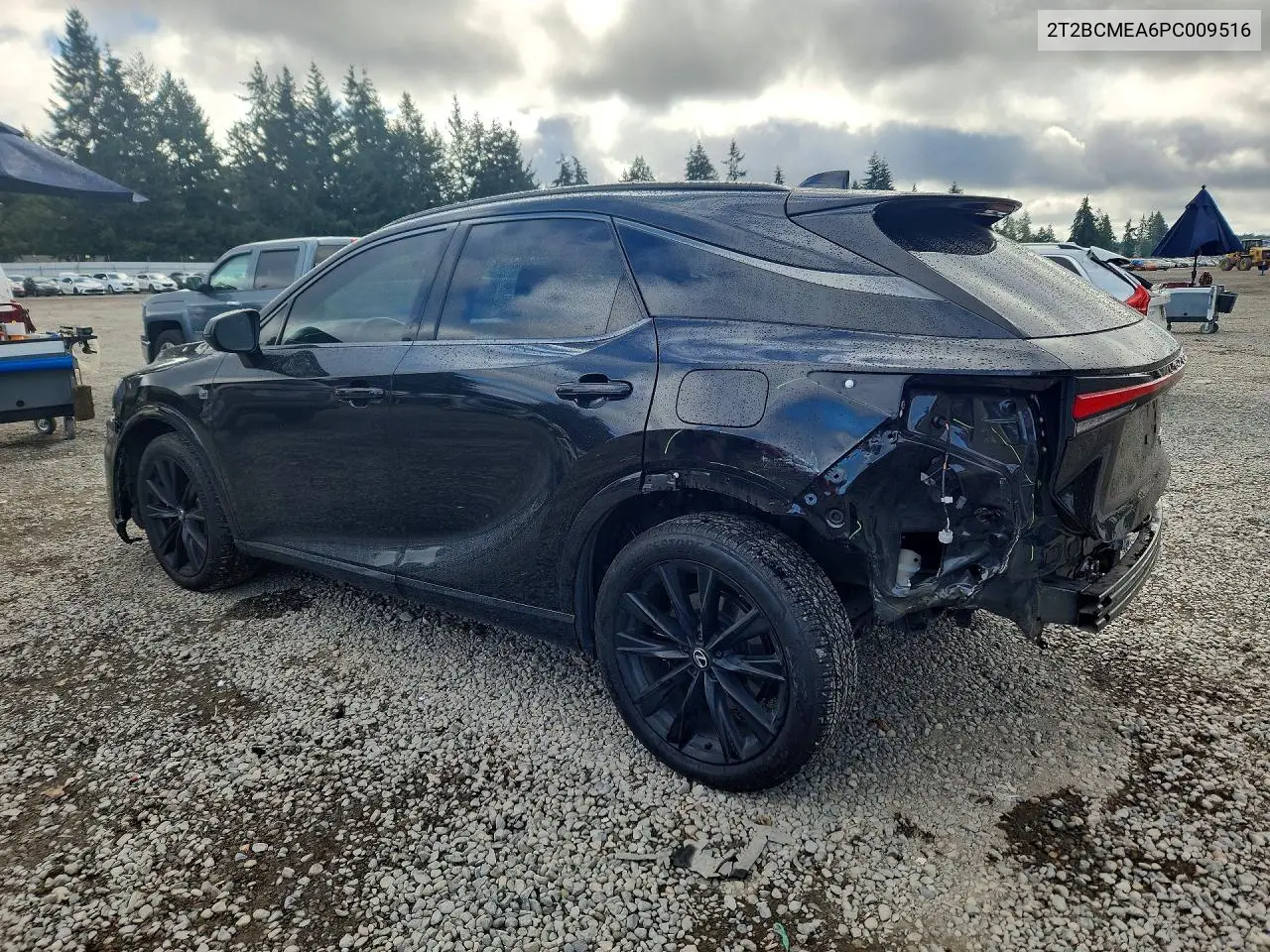 2023 LEXUS RX VIN 2T2BCMEA6PC009516 — фото 2