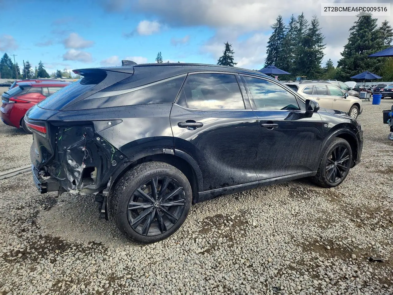 2023 LEXUS RX VIN 2T2BCMEA6PC009516 — фото 3