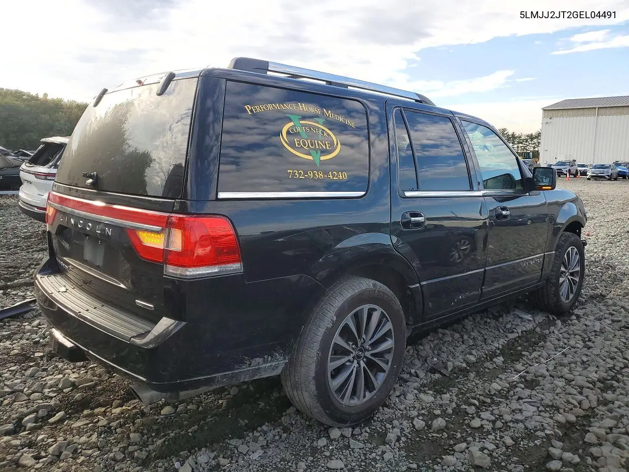 2016 LINCOLN NAVIGATOR VIN 5LMJJ2JT2GEL04491 — фото 3