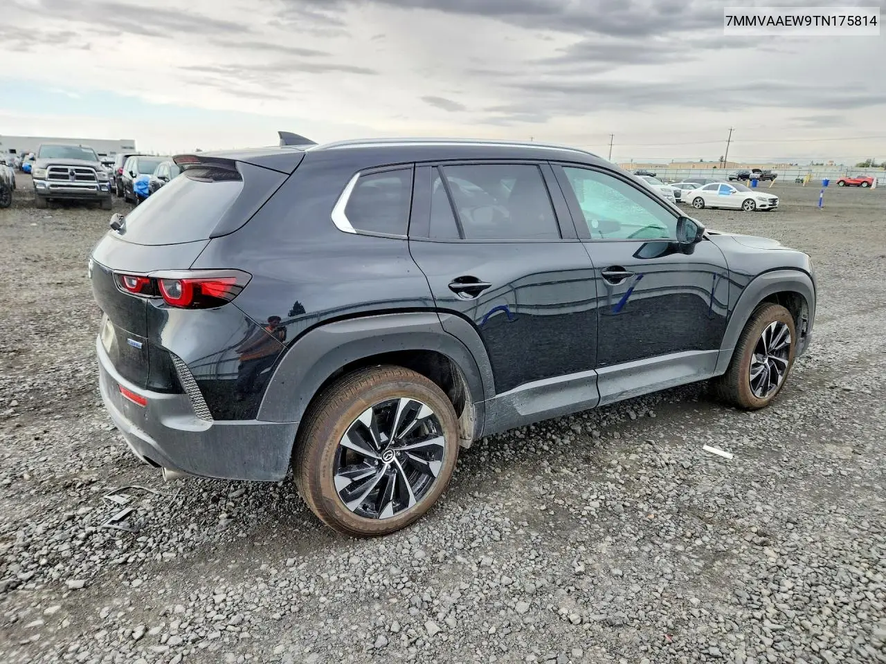 2026 MAZDA CX-50 VIN 7MMVAAEW9TN175814 — фото 3