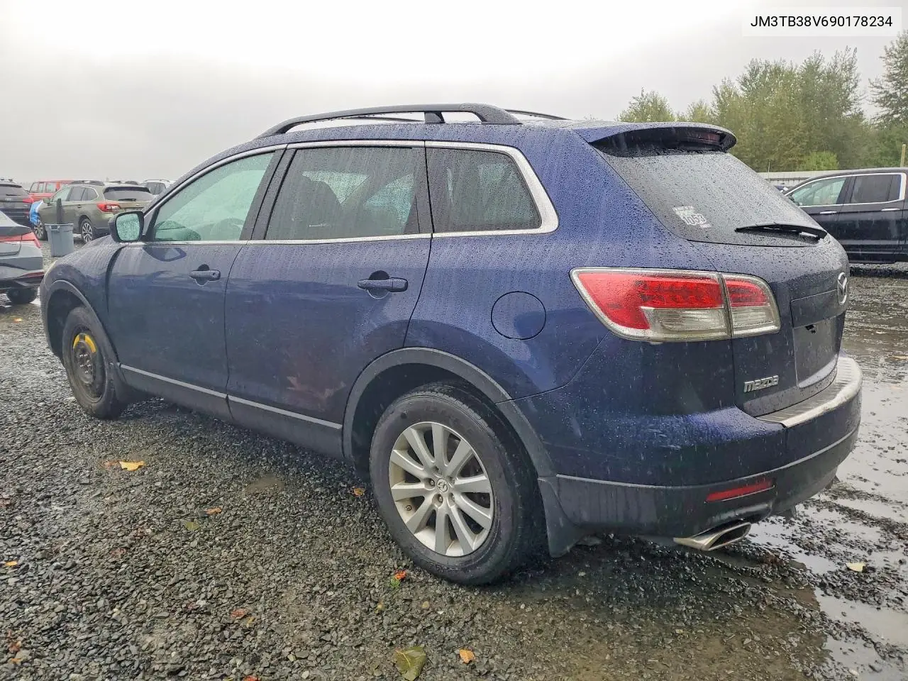 2009 MAZDA CX-9 VIN JM3TB38V690178234 — фото 2