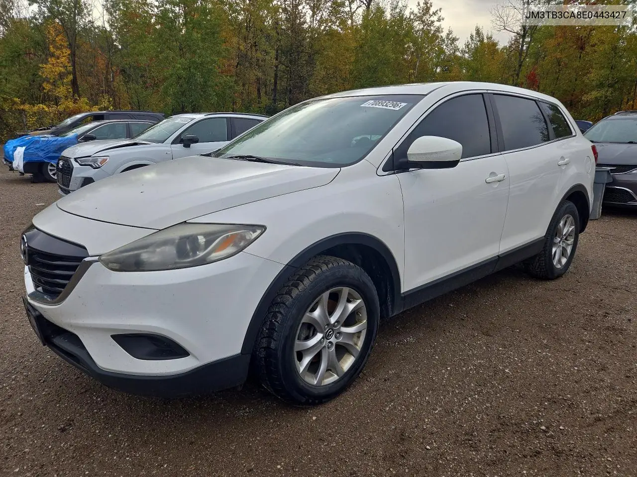 MAZDA CX-9 2014, VIN JM3TB3CA8E0443427