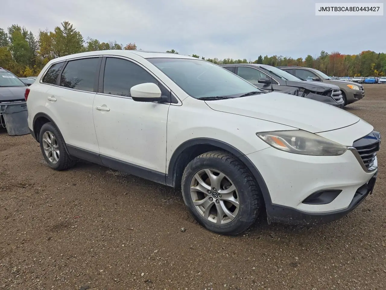 2014 MAZDA CX-9 VIN JM3TB3CA8E0443427 — фото 4