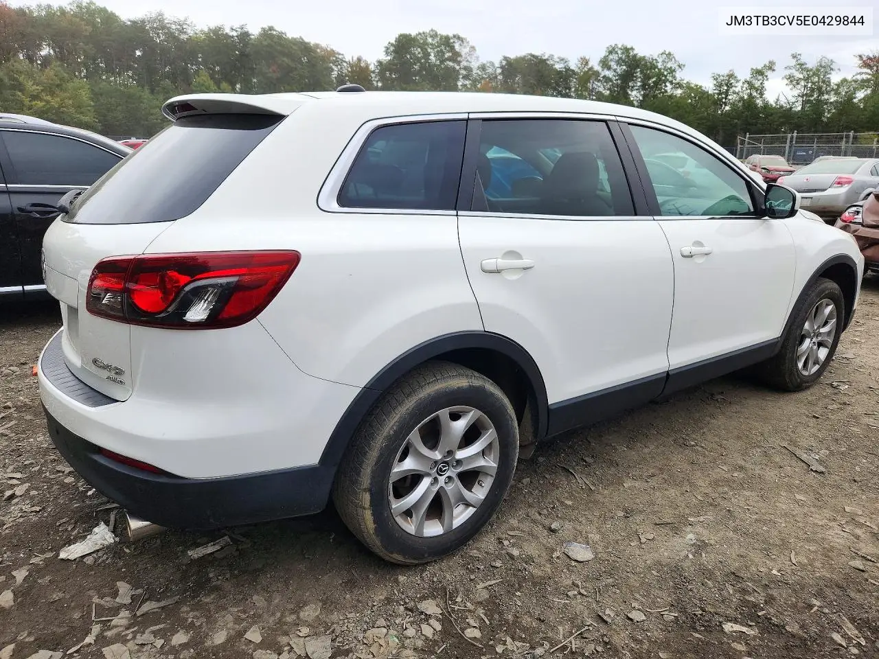 2014 MAZDA CX-9 VIN JM3TB3CV5E0429844 — фото 3