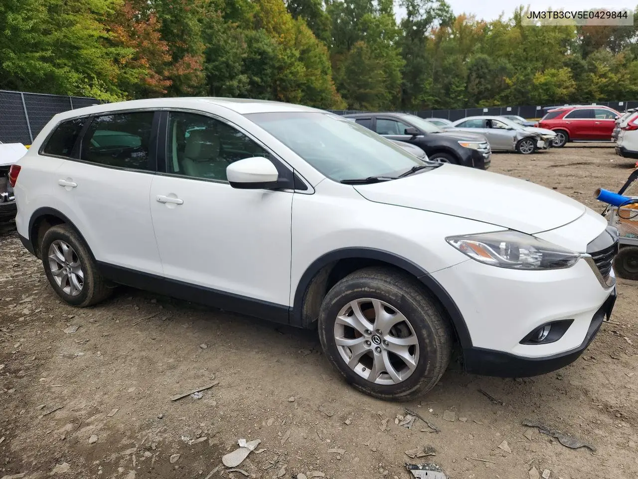 2014 MAZDA CX-9 VIN JM3TB3CV5E0429844 — фото 4