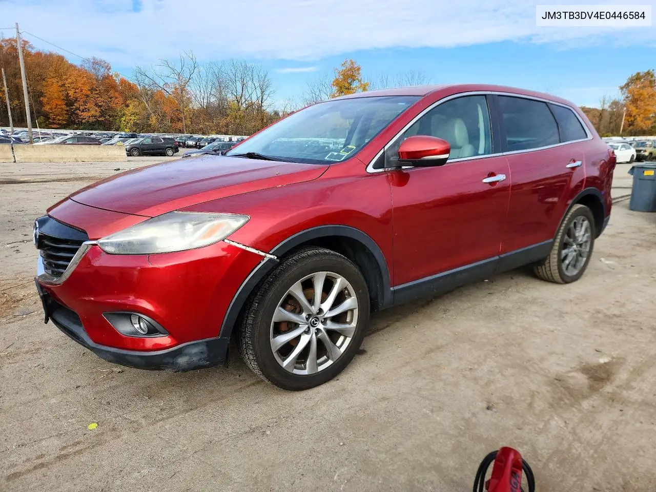 MAZDA CX-9 2014, VIN JM3TB3DV4E0446584