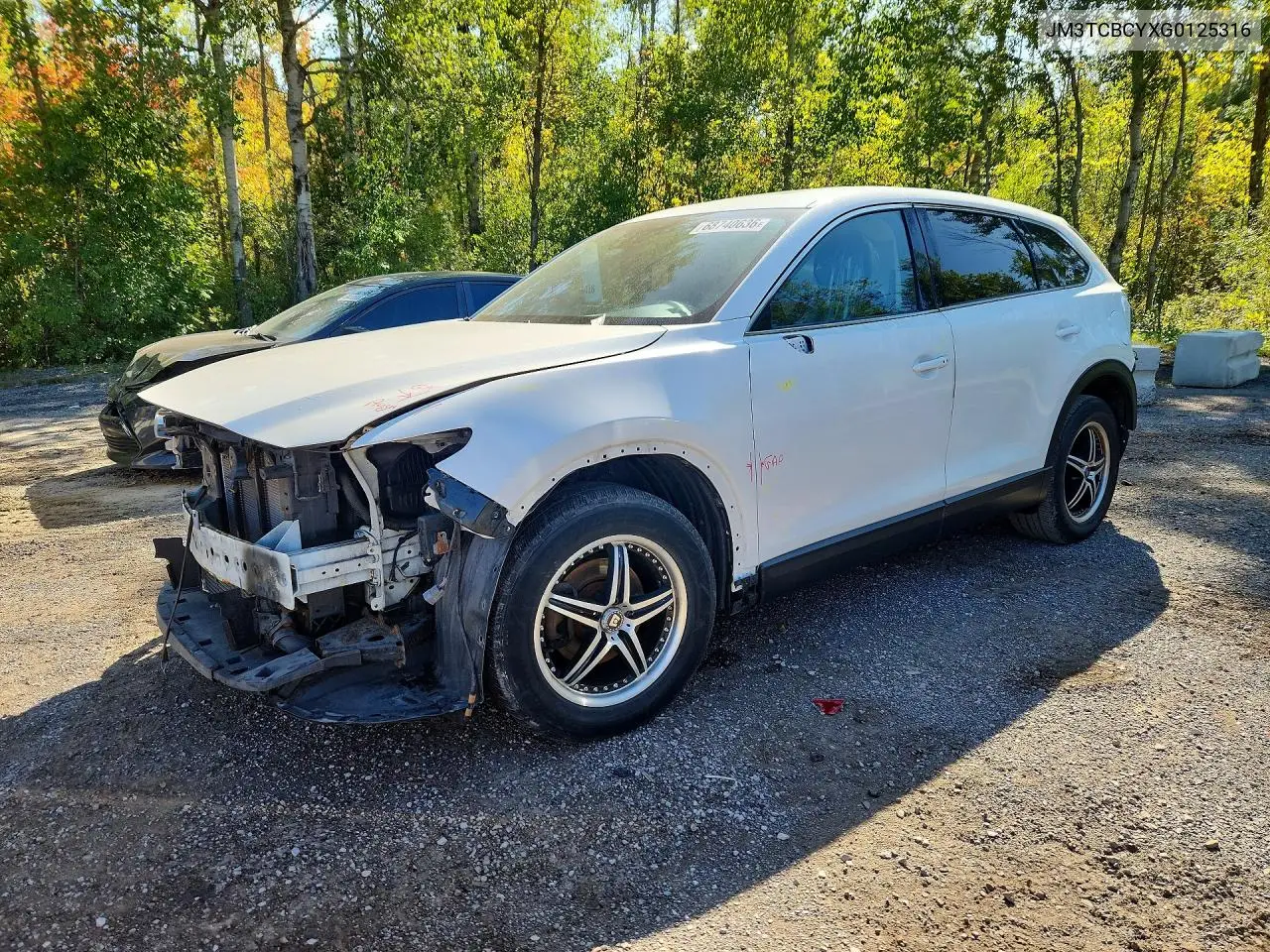 MAZDA CX-9 2016, VIN JM3TCBCYXG0125316