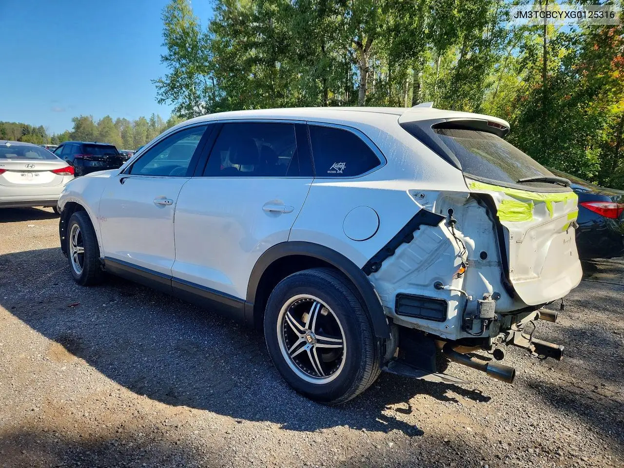 2016 MAZDA CX-9 VIN JM3TCBCYXG0125316 — фото 2