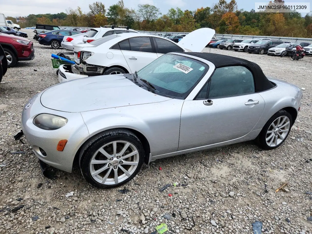 MAZDA MX-5 2006, VIN JM1NC25F960112309