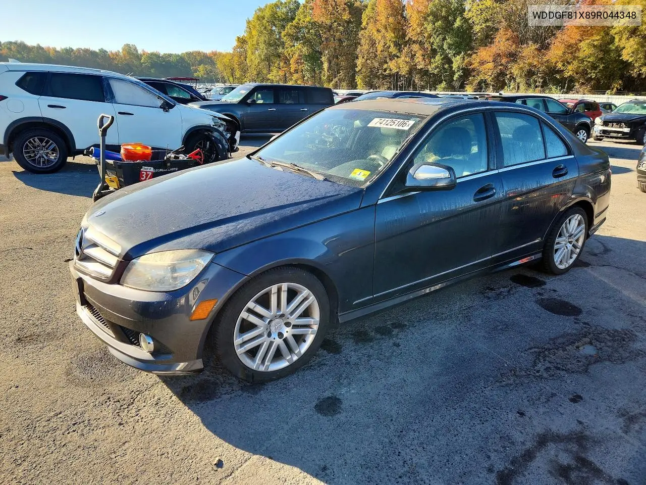 MERCEDES C-KLASSE 2009, VIN WDDGF81X89R044348