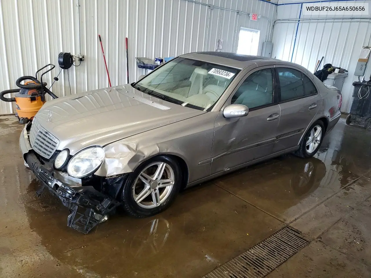MERCEDES E-KLASSE 2005, VIN WDBUF26J65A650656