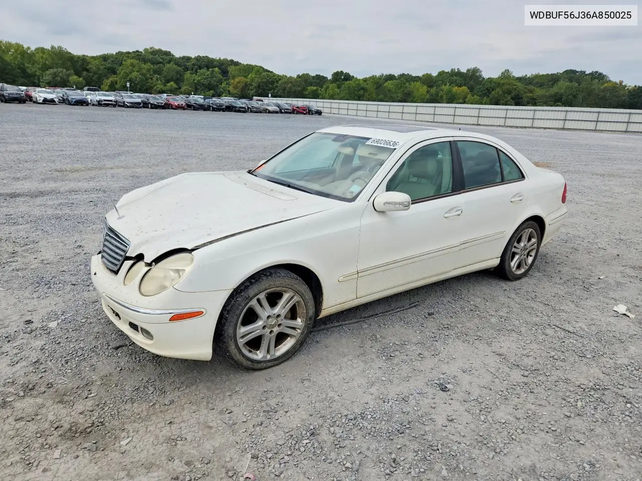 MERCEDES E-KLASSE 2006, VIN WDBUF56J36A850025