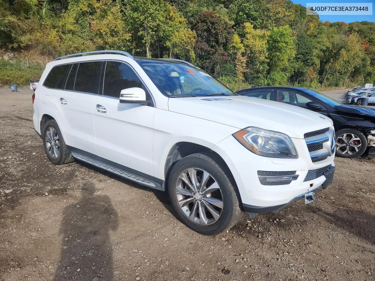 2014 MERCEDES GL-KLASSE VIN 4JGDF7CE3EA373448 — фото 4