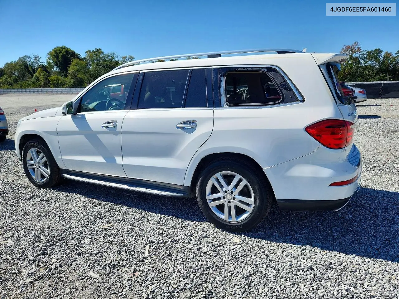 2015 MERCEDES GL-KLASSE VIN 4JGDF6EE5FA601460 — фото 2