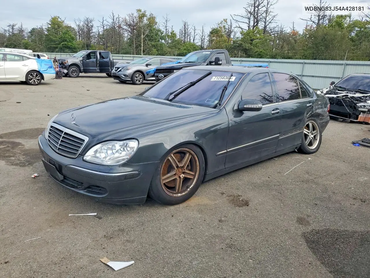 MERCEDES S-KLASSE 2004, VIN WDBNG83J54A428181