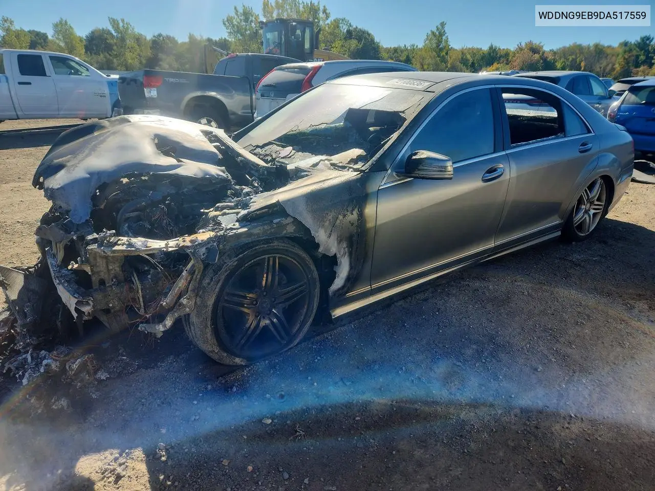 MERCEDES S-KLASSE 2013, VIN WDDNG9EB9DA517559