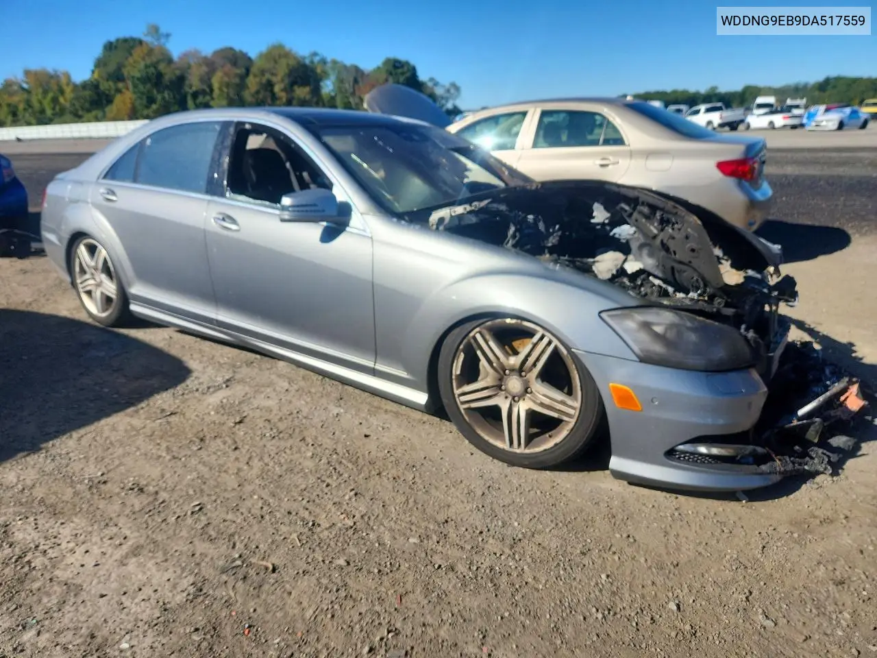 2013 MERCEDES S-KLASSE VIN WDDNG9EB9DA517559 — фото 4
