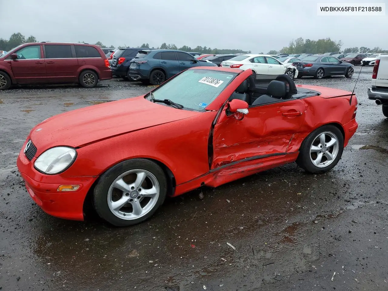 MERCEDES SLK-KLASSE 2001, VIN WDBKK65F81F218588