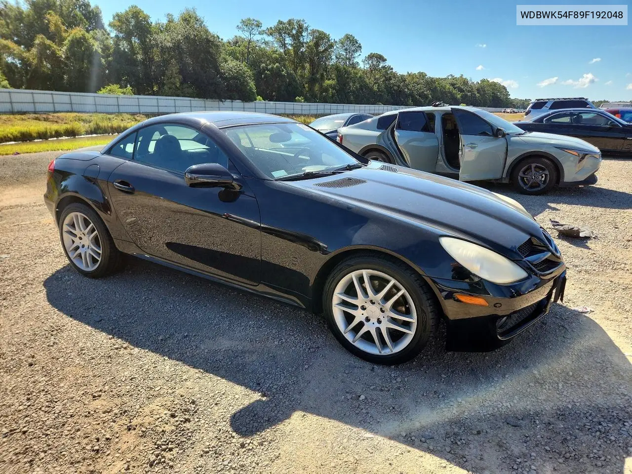 MERCEDES SLK-KLASSE 2009, VIN WDBWK54F89F192048