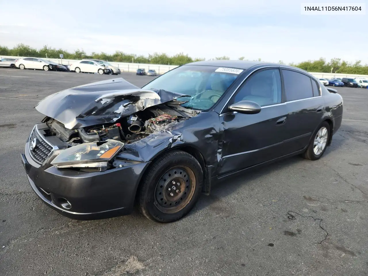 NISSAN ALTIMA 2006, VIN 1N4AL11D56N417604