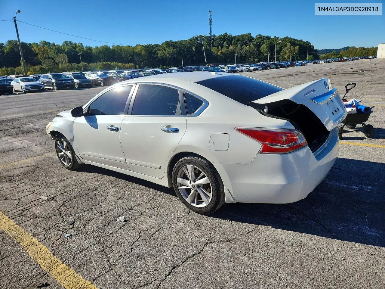 2013 NISSAN ALTIMA VIN 1N4AL3AP3DC920918 — фото 2