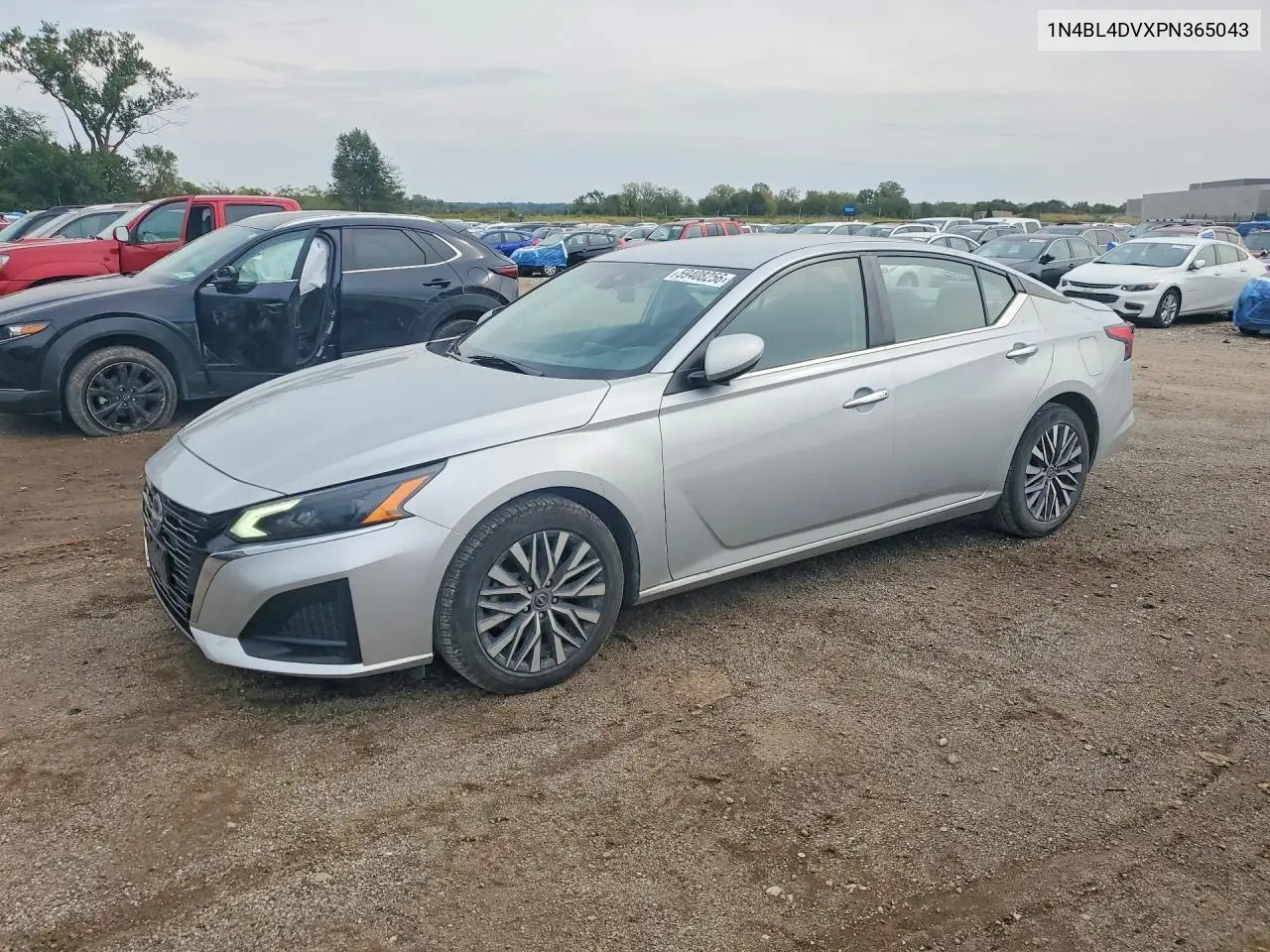 NISSAN ALTIMA 2023, VIN 1N4BL4DVXPN365043