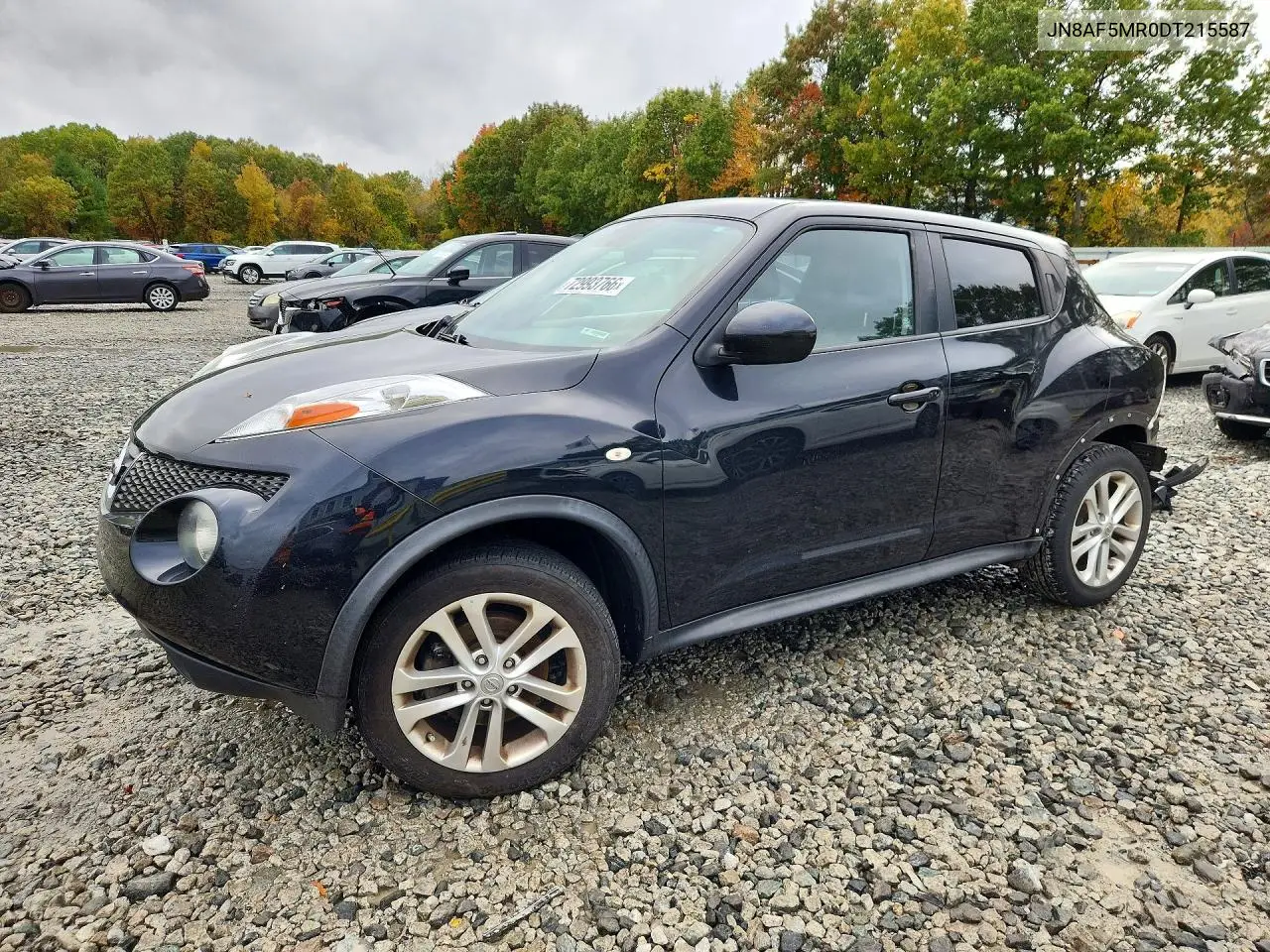 NISSAN JUKE 2013, VIN JN8AF5MR0DT215587