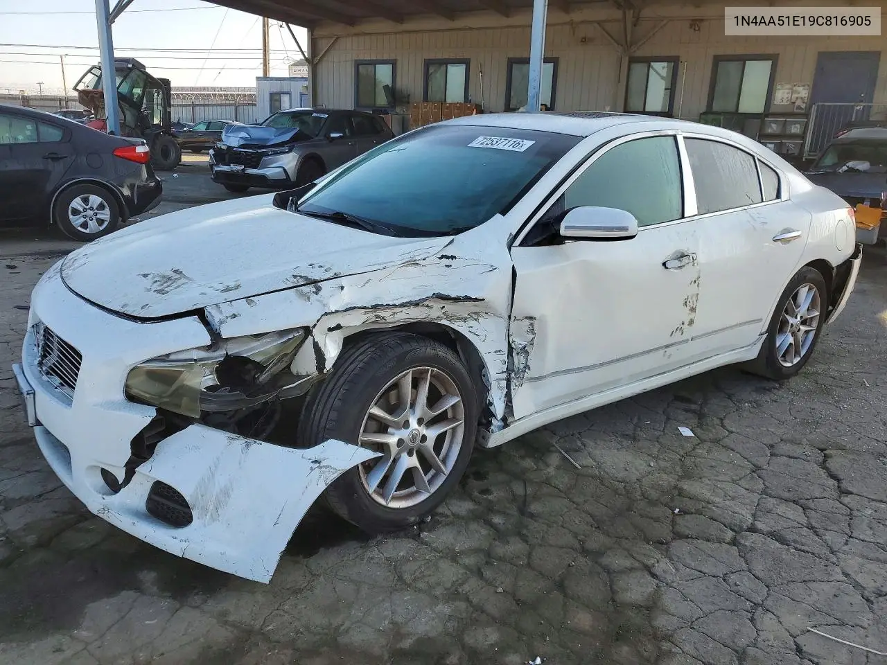 NISSAN MAXIMA 2009, VIN 1N4AA51E19C816905