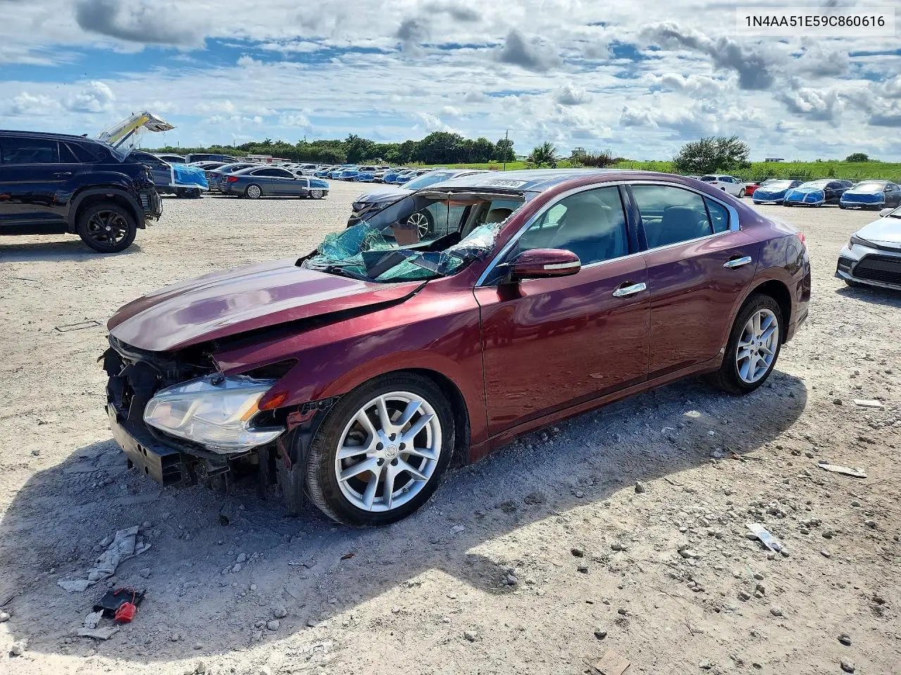NISSAN MAXIMA 2009, VIN 1N4AA51E59C860616