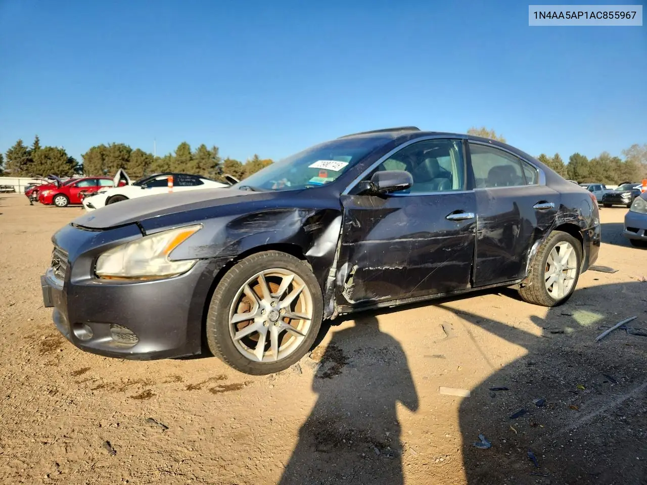 NISSAN MAXIMA 2010, VIN 1N4AA5AP1AC855967
