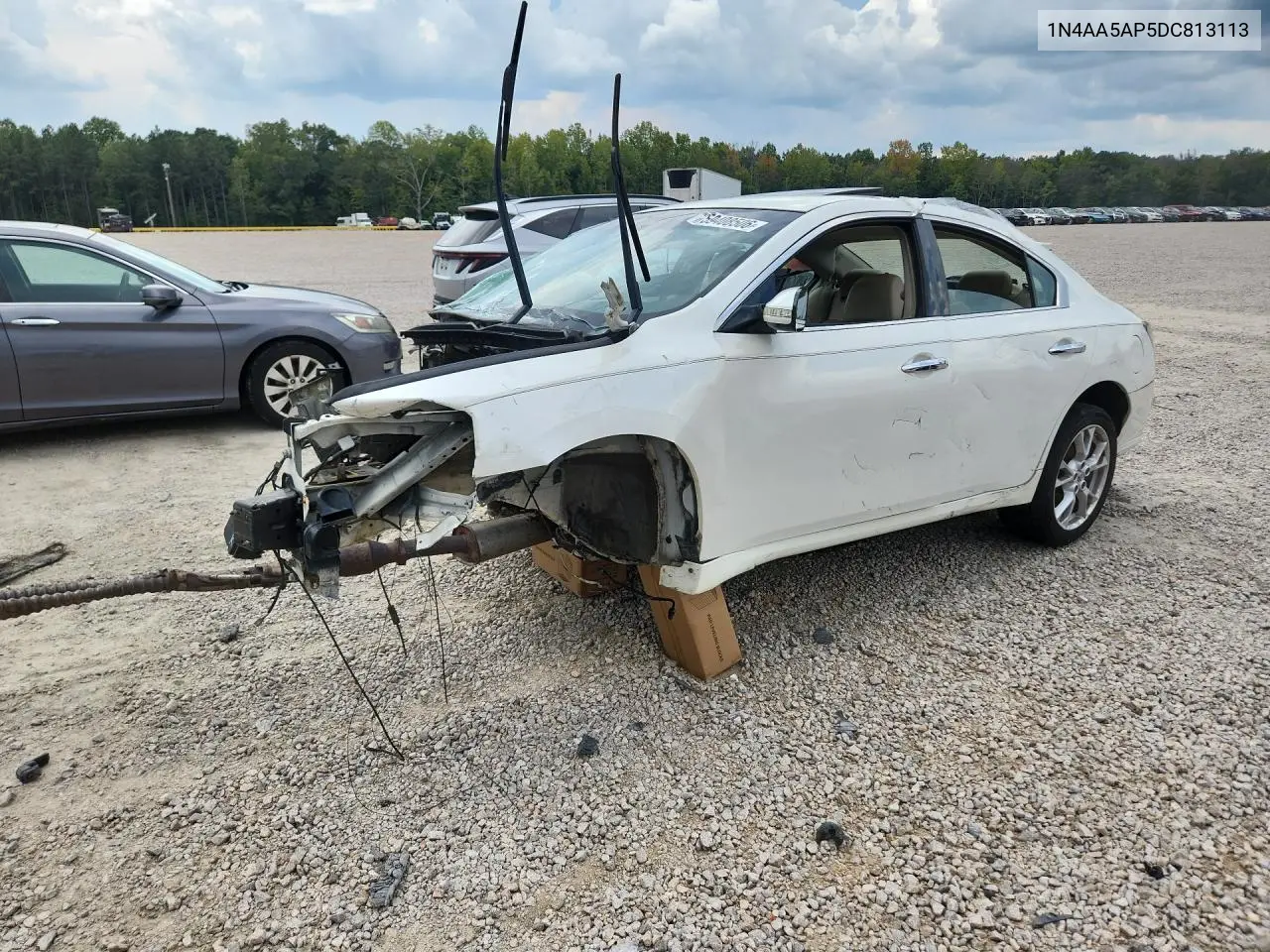 NISSAN MAXIMA 2013, VIN 1N4AA5AP5DC813113